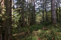 Property in Multnomah County, Oregon