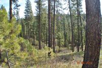 Property in Boise County, Idaho