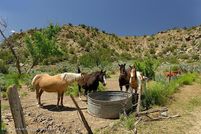 Property for sale in Garfield County, Colorado