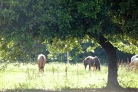 Property in Galveston County, Texas