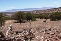 Property in Catron County, New Mexico