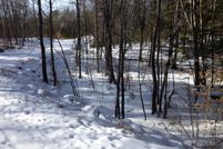 Property in Cumberland County, Maine