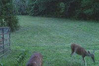 Property in Polk County, Arkansas