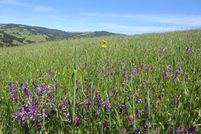 Property in Contra Costa County, California