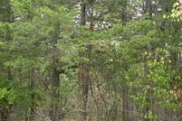 Property in Carroll County, Arkansas