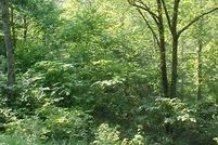 Property in Rowan County, Kentucky