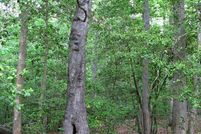 Property in Surry County, Virginia