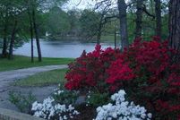 Property in Wood County, Texas