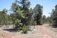 Property in Navajo County, Arizona