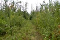 Property in Douglas County, Wisconsin