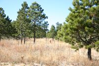 Property in El Paso County, Colorado