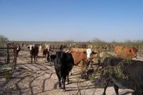 Property in Pecos County, Texas