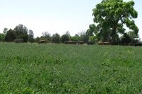 Property in Guadalupe County, New Mexico