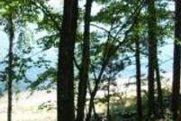 Property in Oneida County, Wisconsin