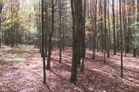 Property in Otsego County, New York