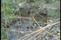 Property in Floyd County, Virginia