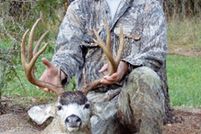 Property in Linn County, Oregon