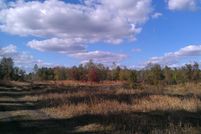 Property in Union County, Florida