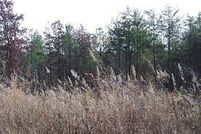 Property in Appomattox County, Virginia