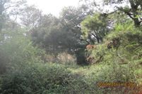 Property in Houston County, Alabama