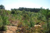 Property in Lunenburg County, Virginia