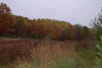 Property in Waupaca County, Wisconsin