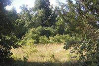 Property in Dallas County, Missouri