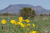 Property in Catron County, New Mexico