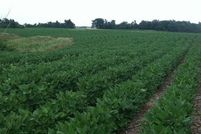 Property in Tama County, Iowa