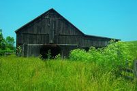 Property in Scott County, Kentucky