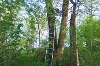 Property in Jackson County, Iowa