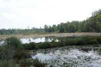 Property in Barbour County, Alabama