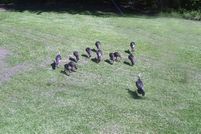 Property in Clarke County, Mississippi