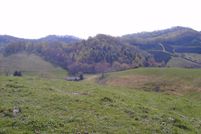 Property in Grayson County, Virginia