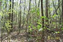 Property in Blount County, Alabama