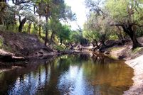 Property in DeSoto County, Florida