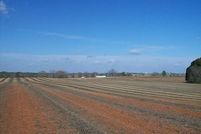 Property in Dale County, Alabama