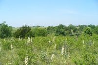 Property in Pratt County, Kansas