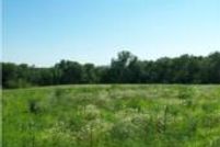 Property in Caldwell County, Missouri