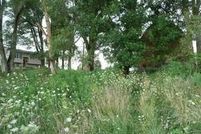 Property in Decatur County, Iowa