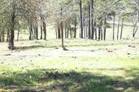 Property in Arkansas County, Arkansas