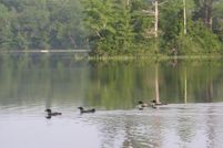 Property in Waldo County, Maine