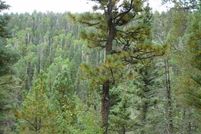 Property in Colfax County, New Mexico