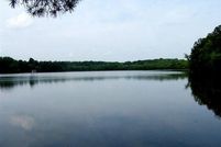 Property in Greenwood County, South Carolina