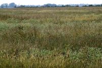 Property in Jackson County, Texas