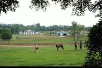 Property in Scott County, Kentucky