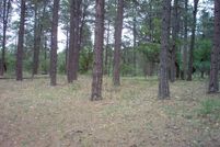 Property in San Miguel County, New Mexico