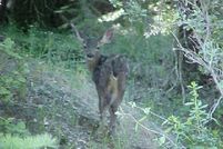 Property in Humboldt County, California