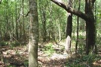 Property in Suwannee County, Florida