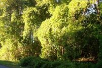 Property in Rockingham County, North Carolina